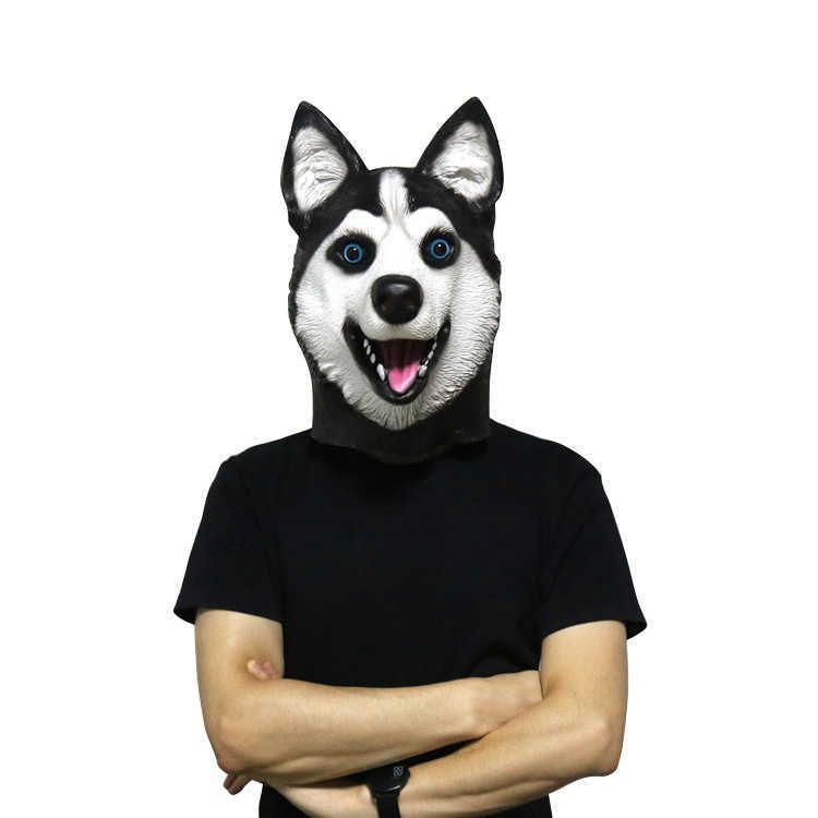 Uśmiechaj się husky