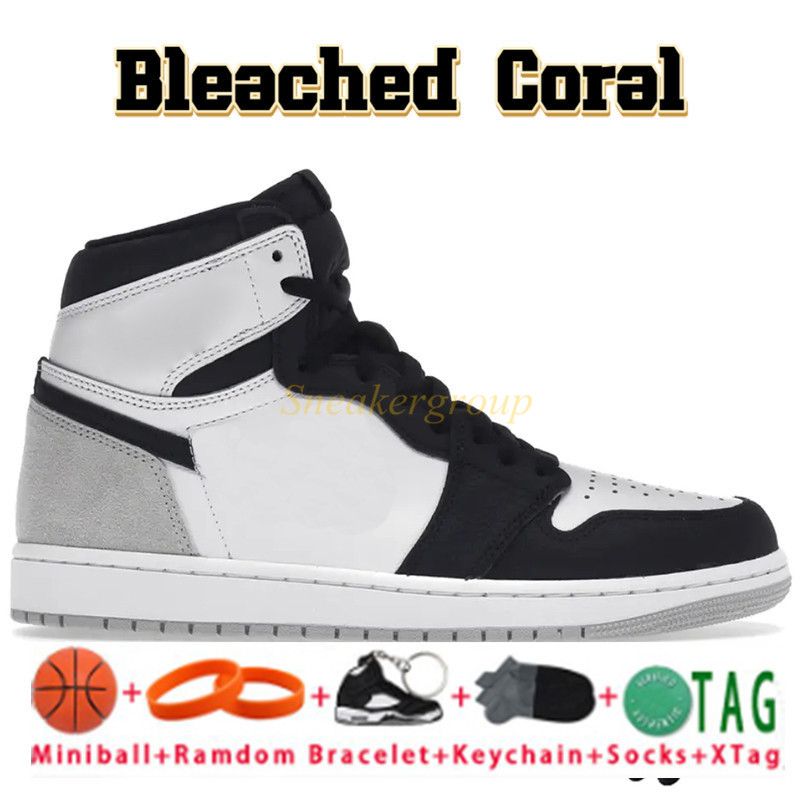 11 Bleached Coral