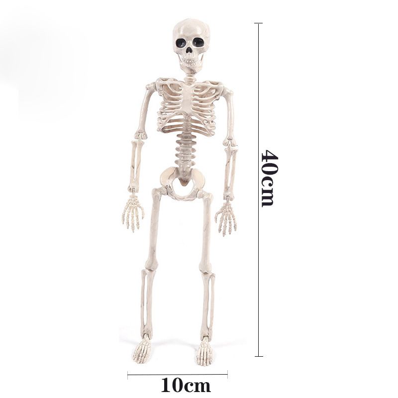 1pc Skeleton