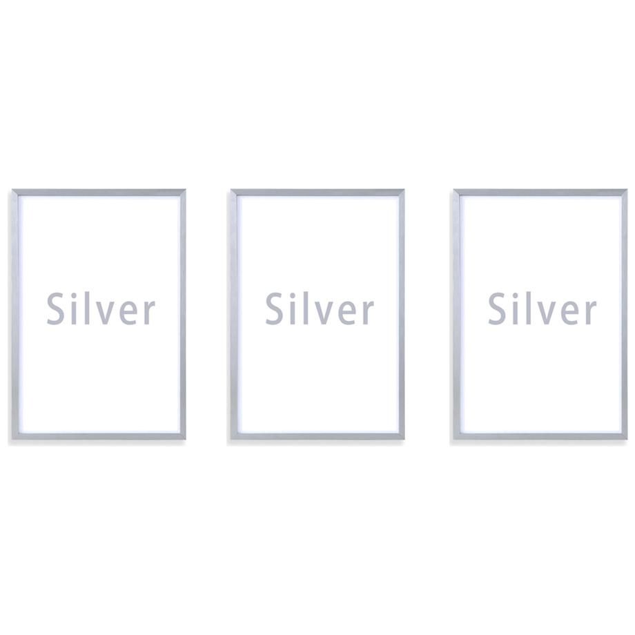 3 adet SilverSize: A4 (21x30cm)