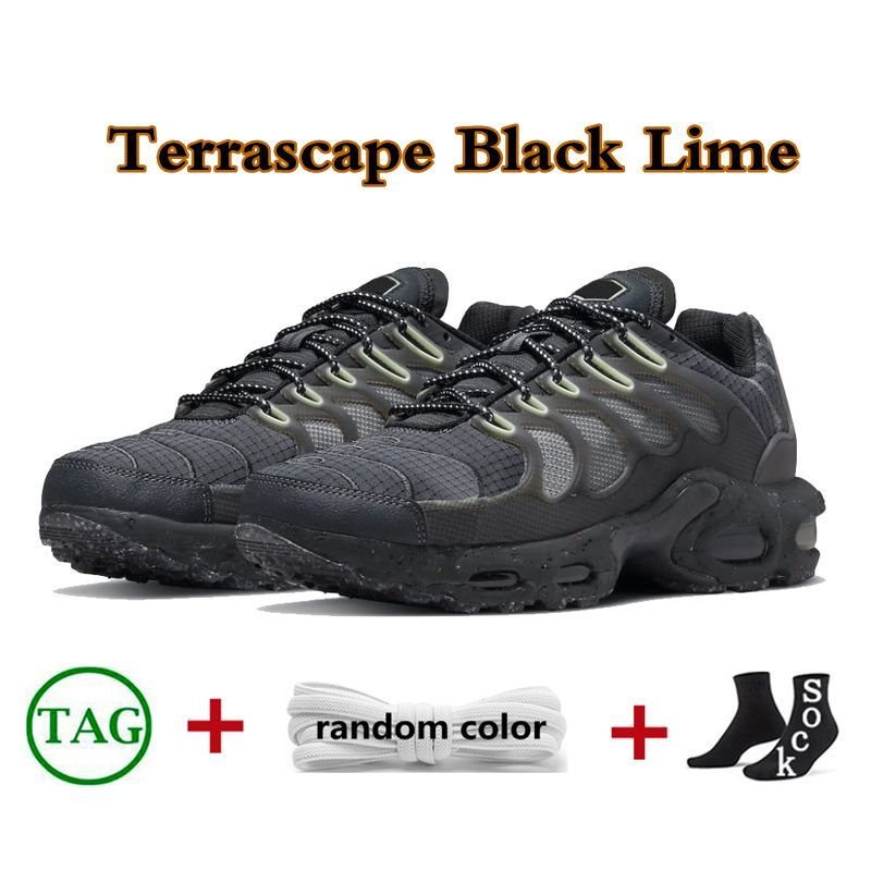 Terrascape Black Lime