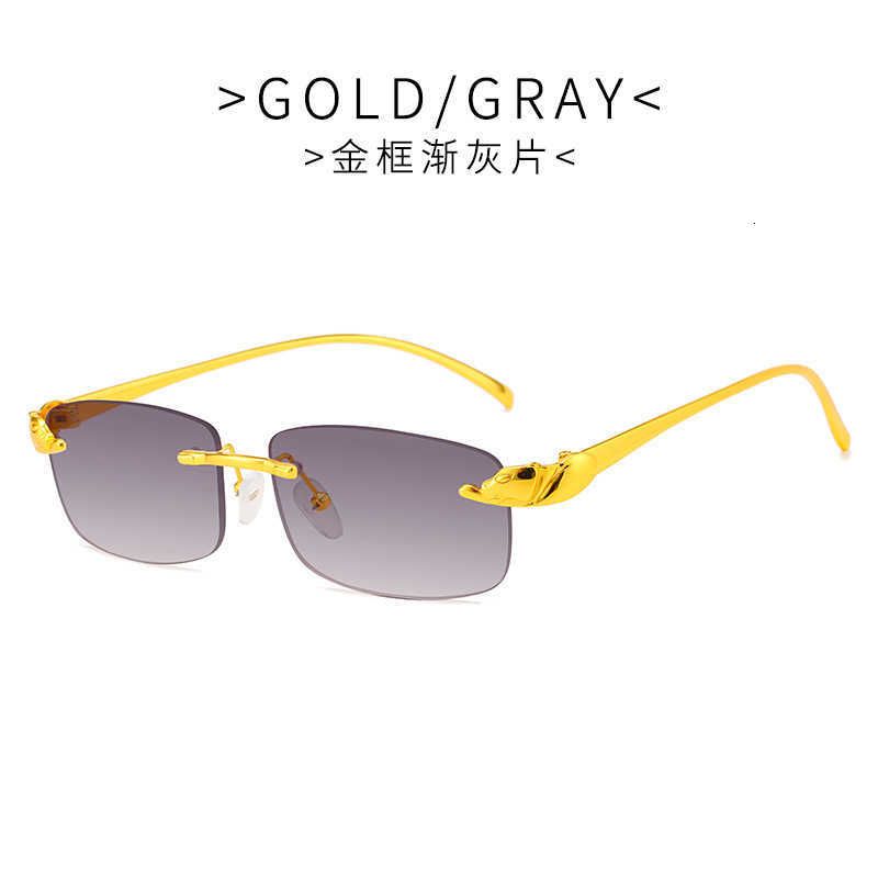 c2 gold frame double gray chip