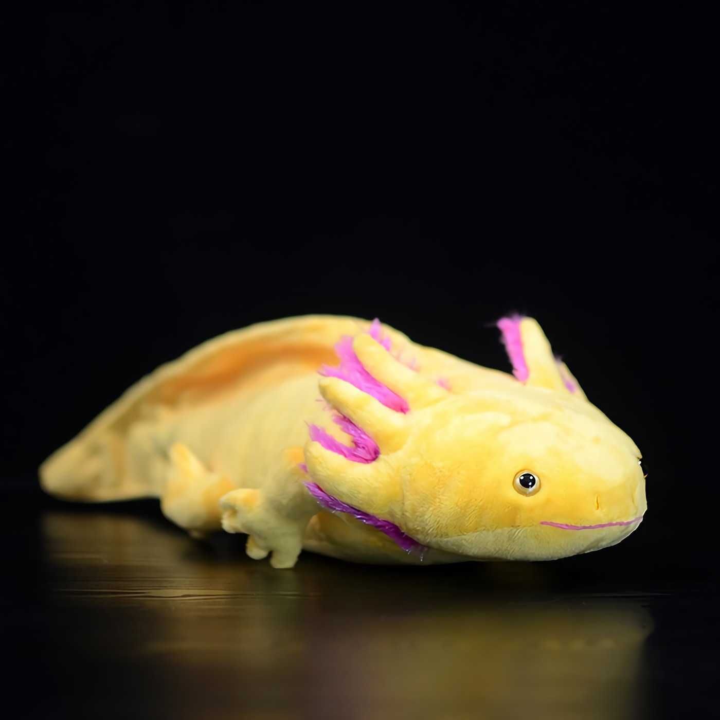 axolotl الأصفر