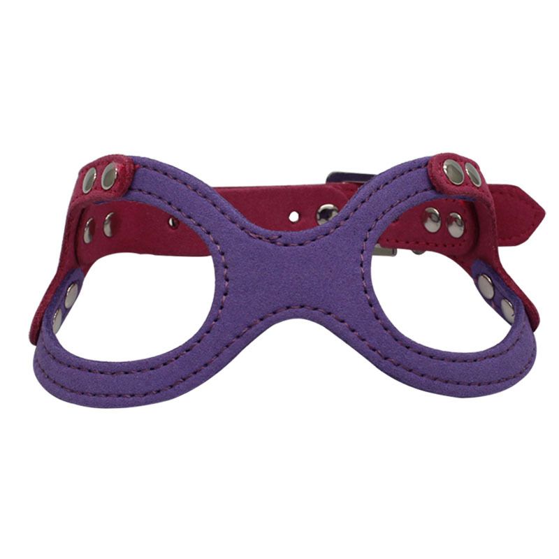 purple harness