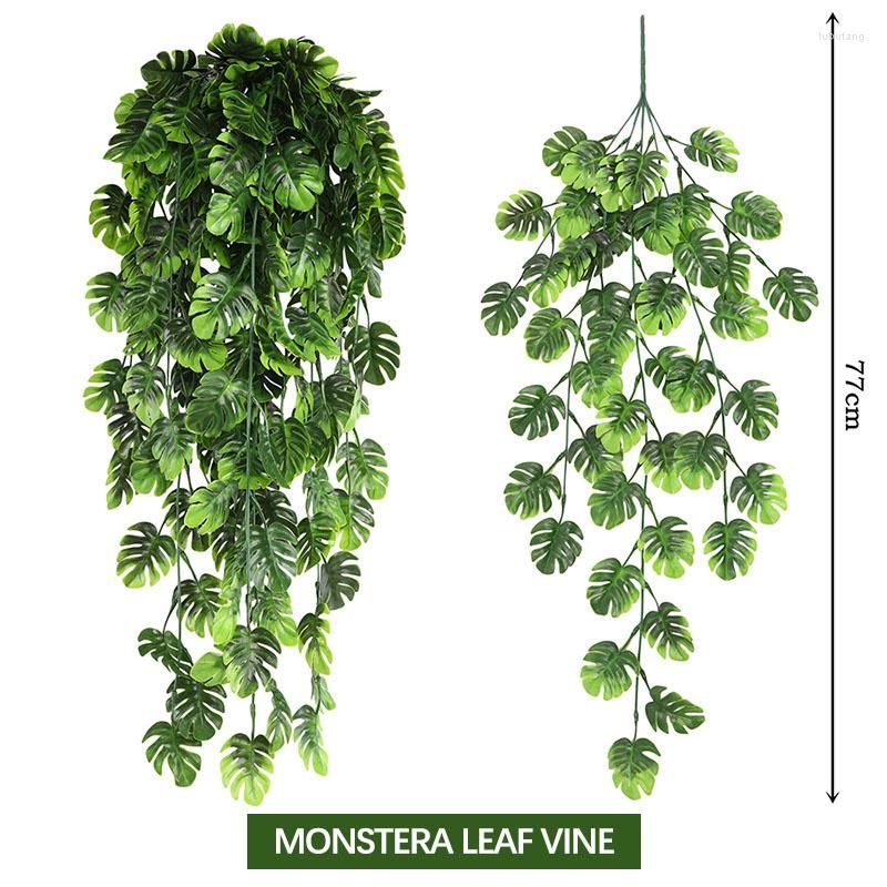 vite a foglia di monstera