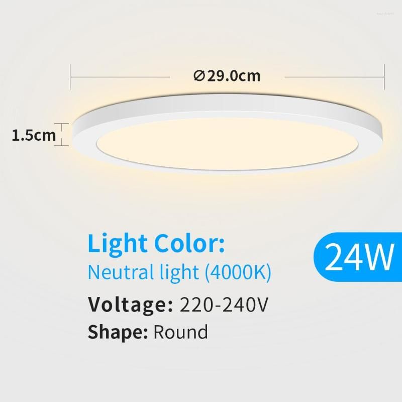 24W luce neutra Cina