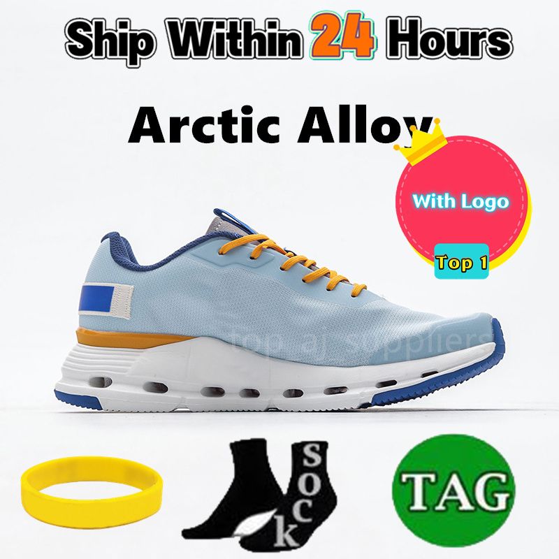 01 Arktische Legierung