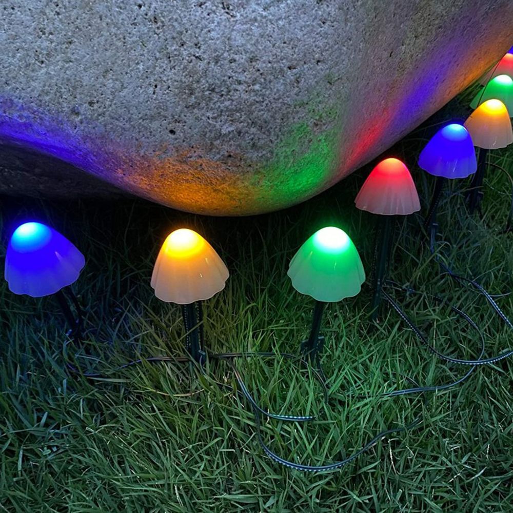 Multicolor-3.5m 10led X2 Pack