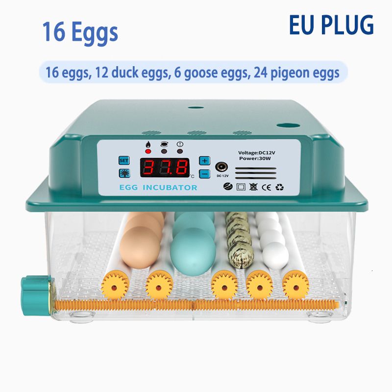 16 Egg Eu wtyczka