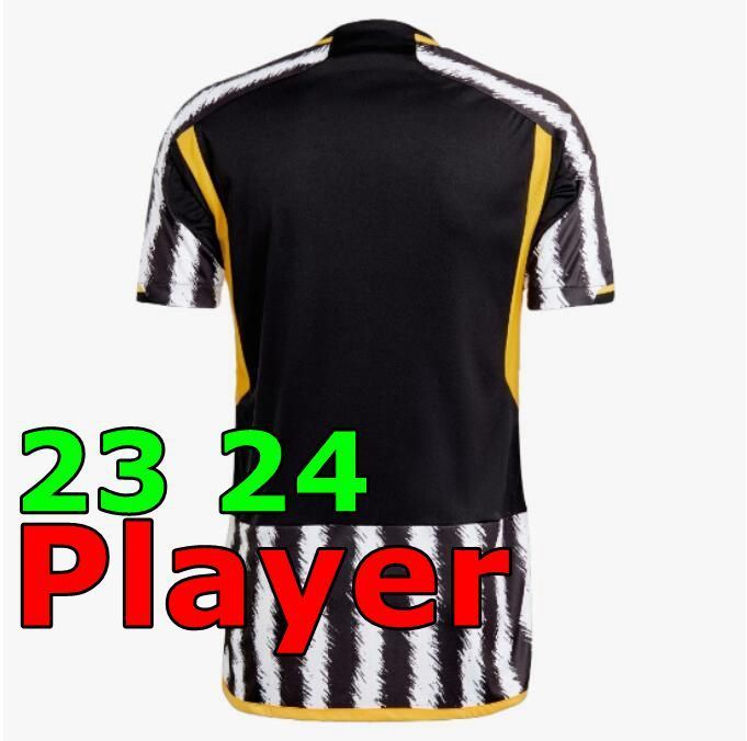 23 24 jogador doméstico