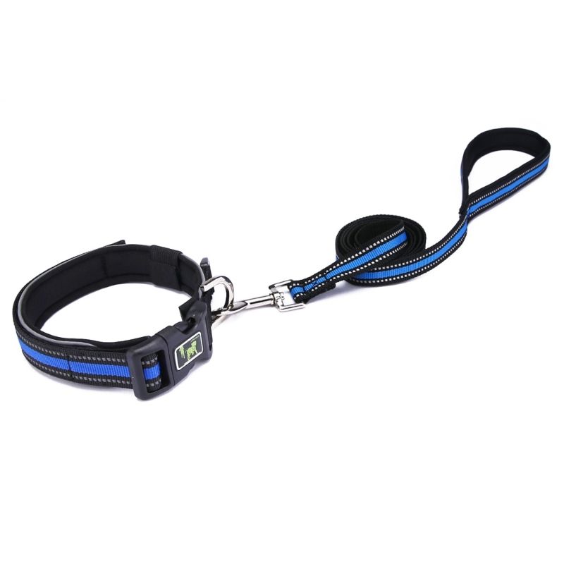 blue 25mm leash