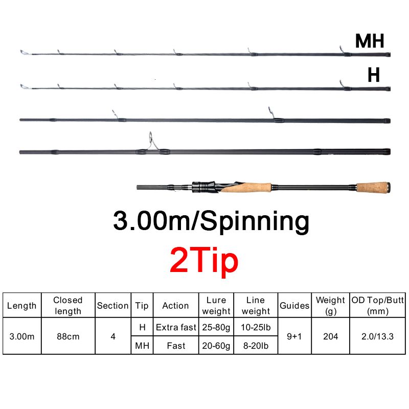 Spinning 3.00m 2tips