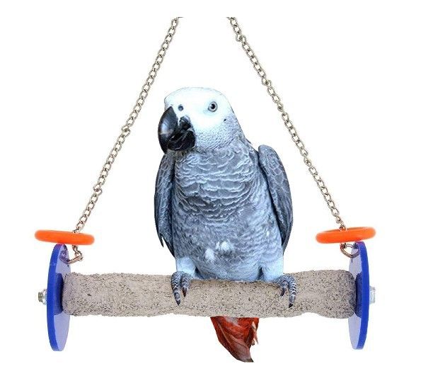 bird swing stand