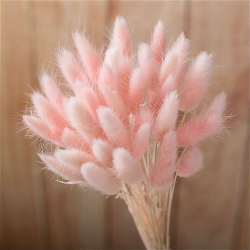 Pink claro-60pcs