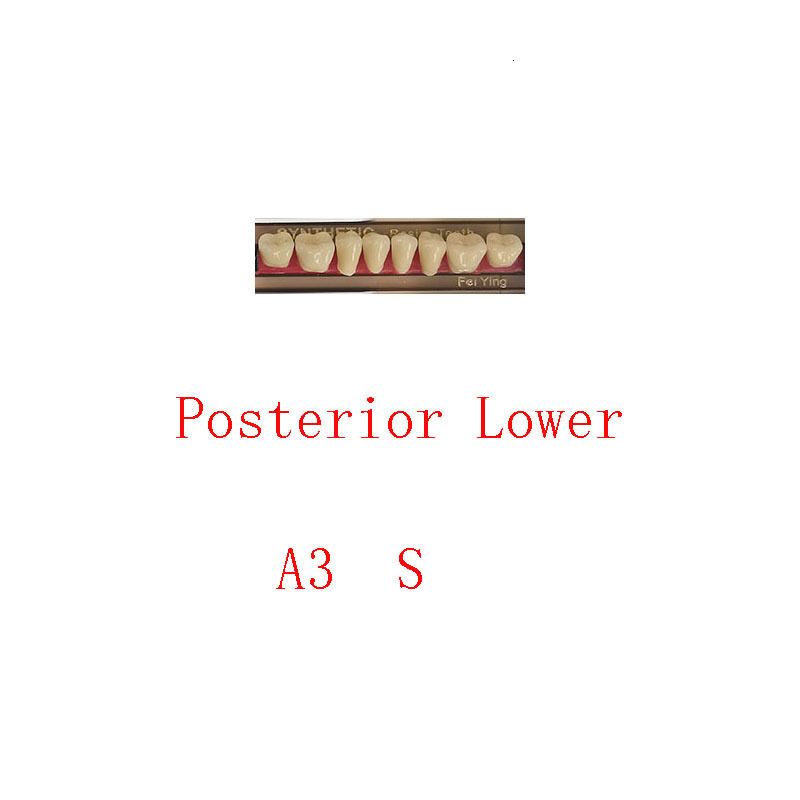 Posterior Inferior A3 s