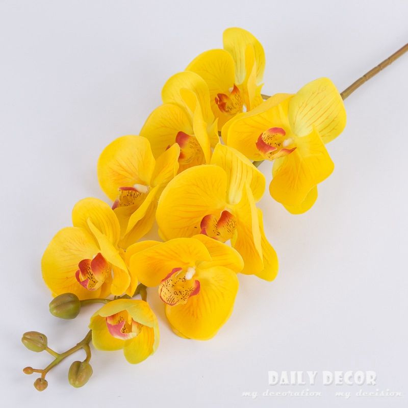 yellow orchids