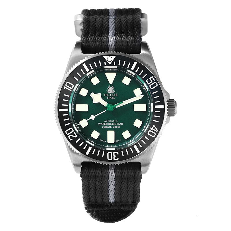 green dial b bezel