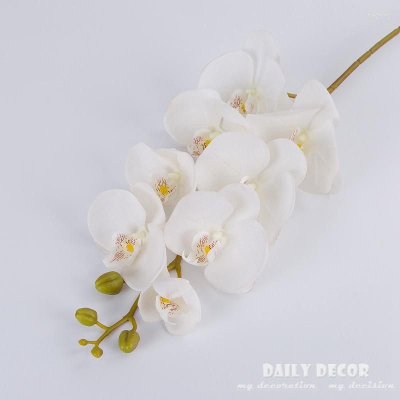 white orchids