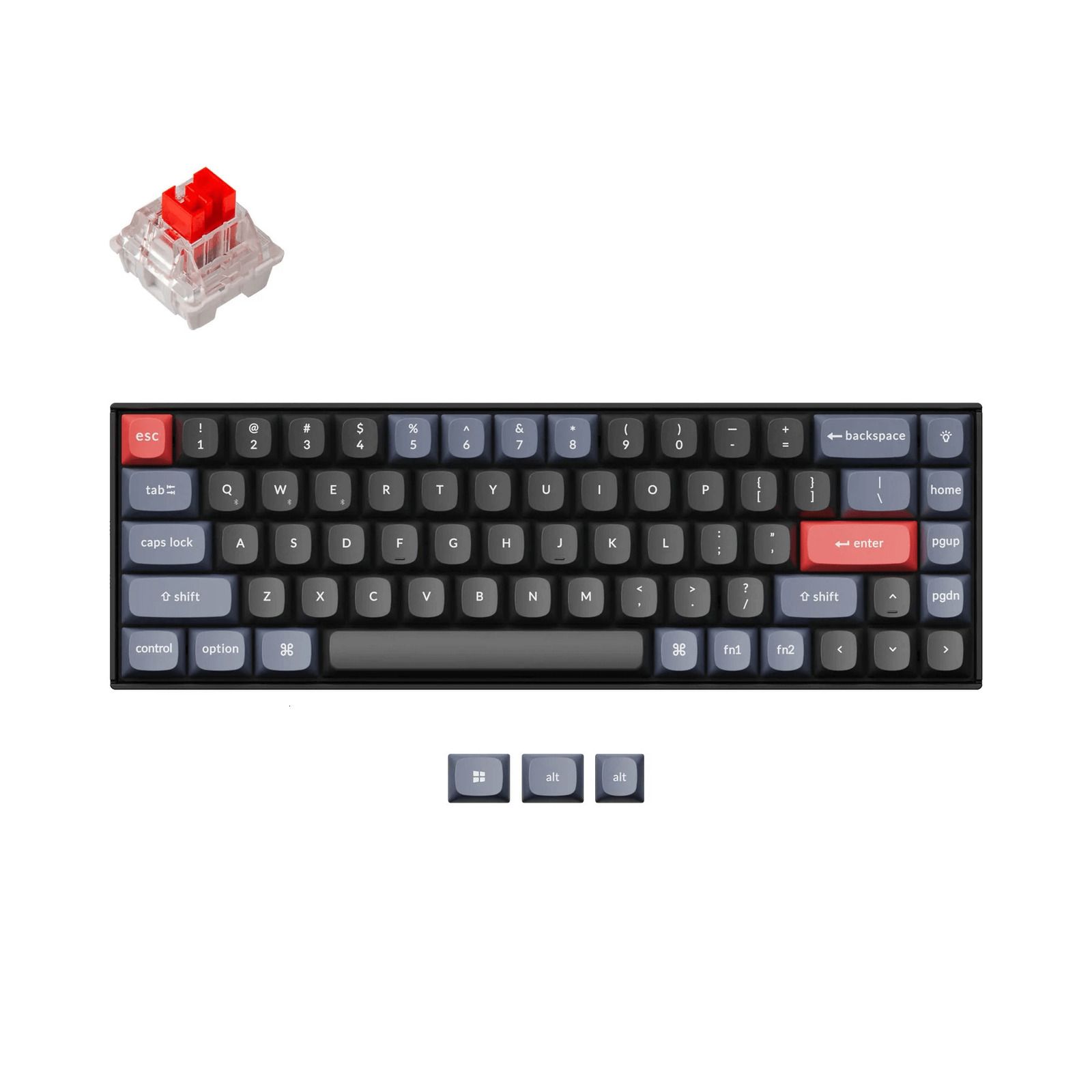 Vit bakgrundsbelysning-Keychron k Pro Blue