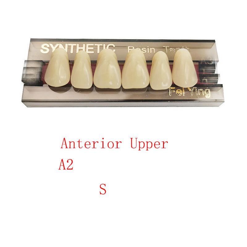 Anterior Upper A2 s