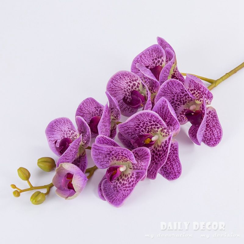 lila Orchideen
