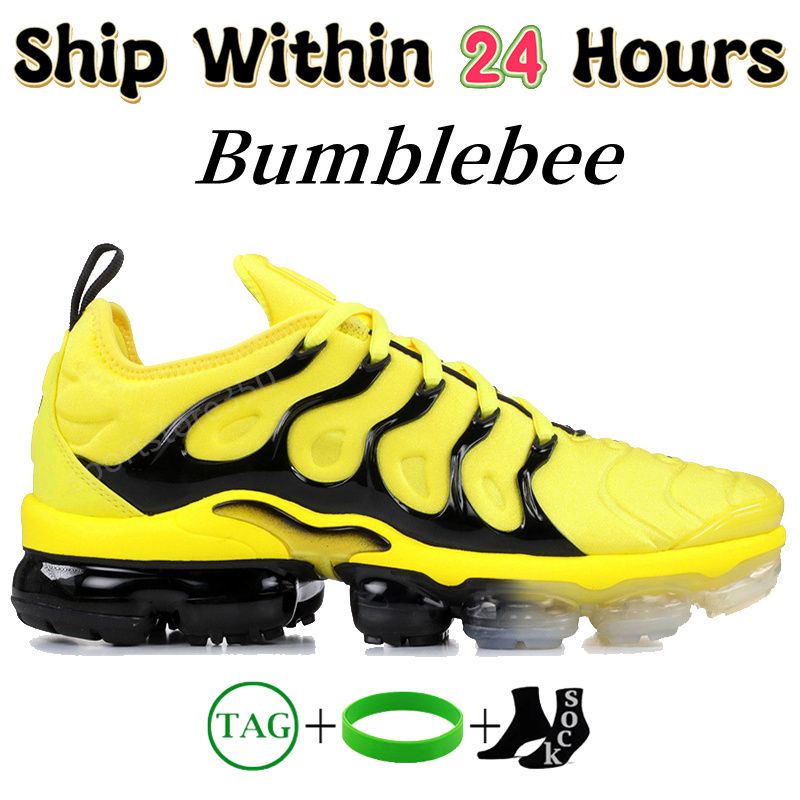 #34- Bumblebee