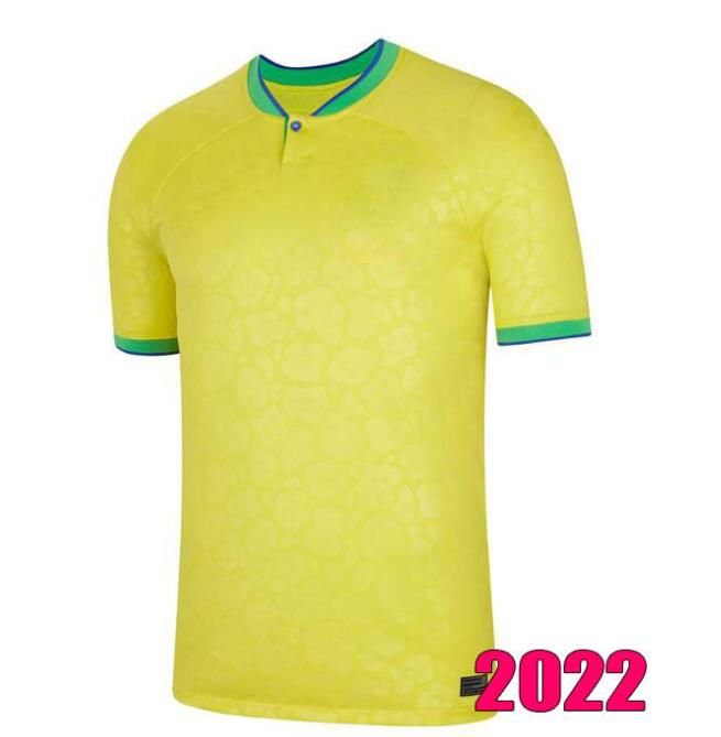 2022 dom