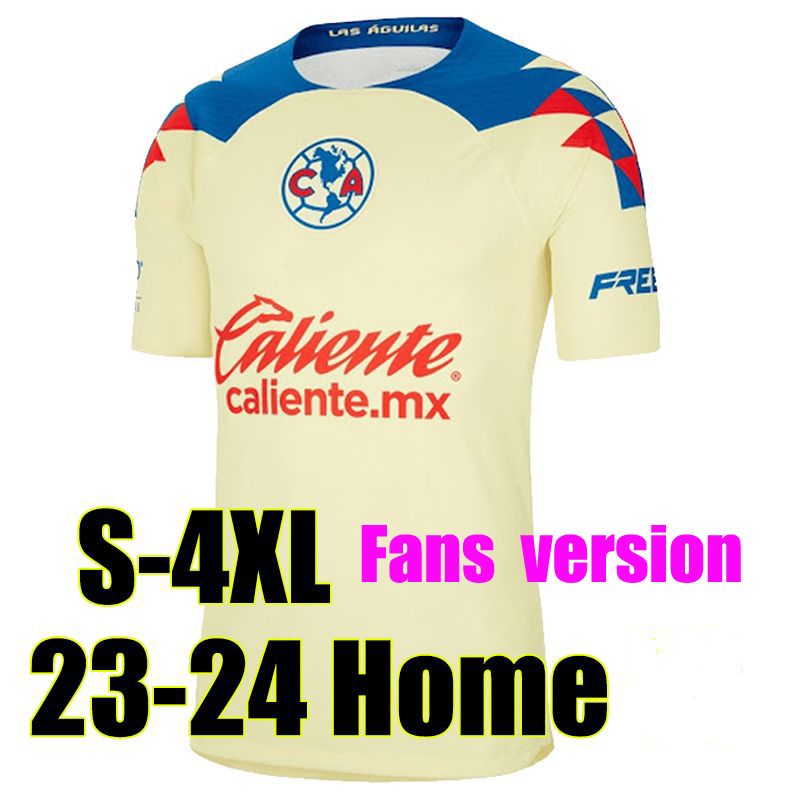 23/24 Home Fans version