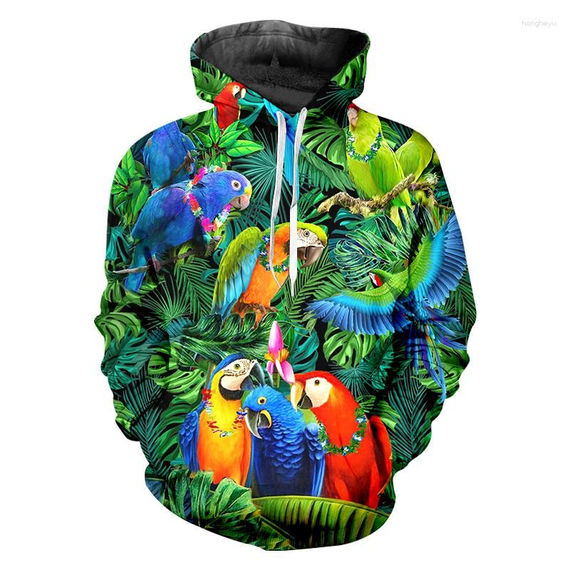 Paroquet hoodie