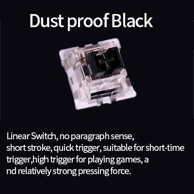 Dustproof Black-30pcs