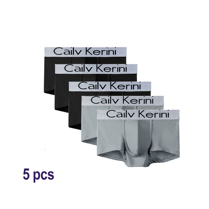 cailv-009-5pcs