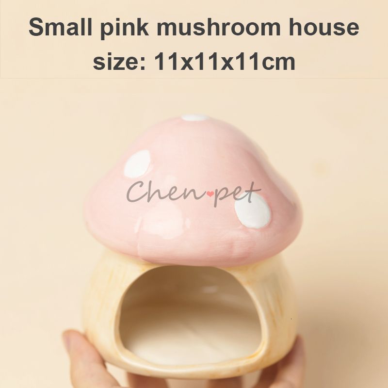 Kleiner Pink House