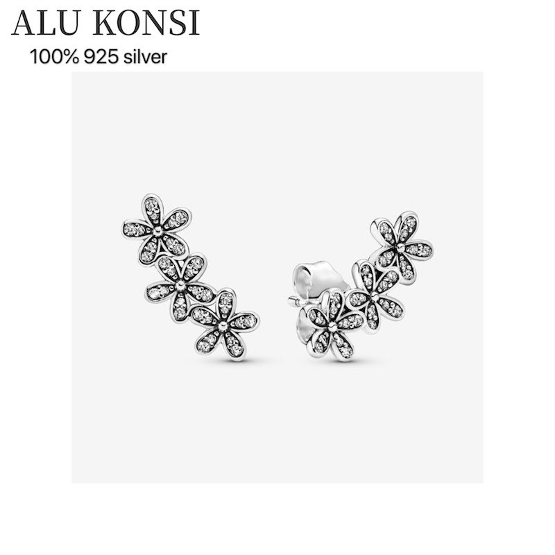 Boucle d'oreille en argent 1