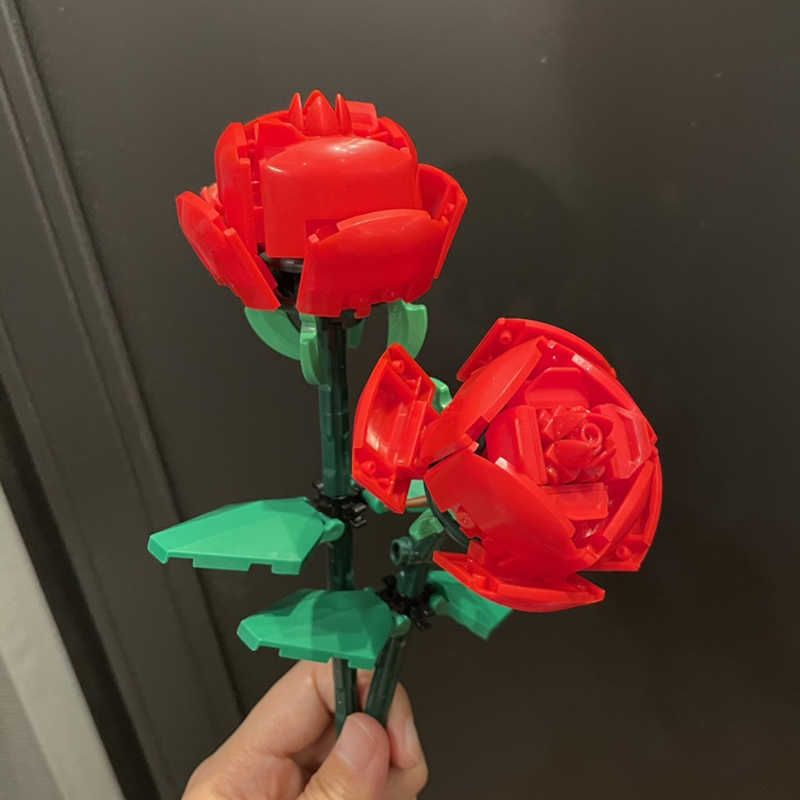 2 rote Rosen keine Box