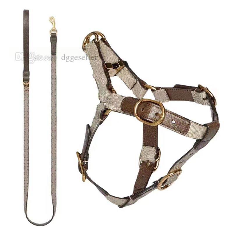 Harness+Leash