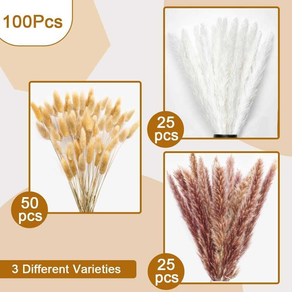 100pcs-1