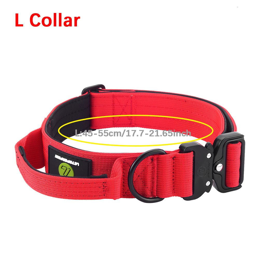 Rotes Halsband l