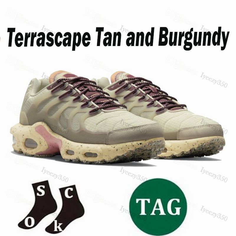 Terascape 36-46 (4)