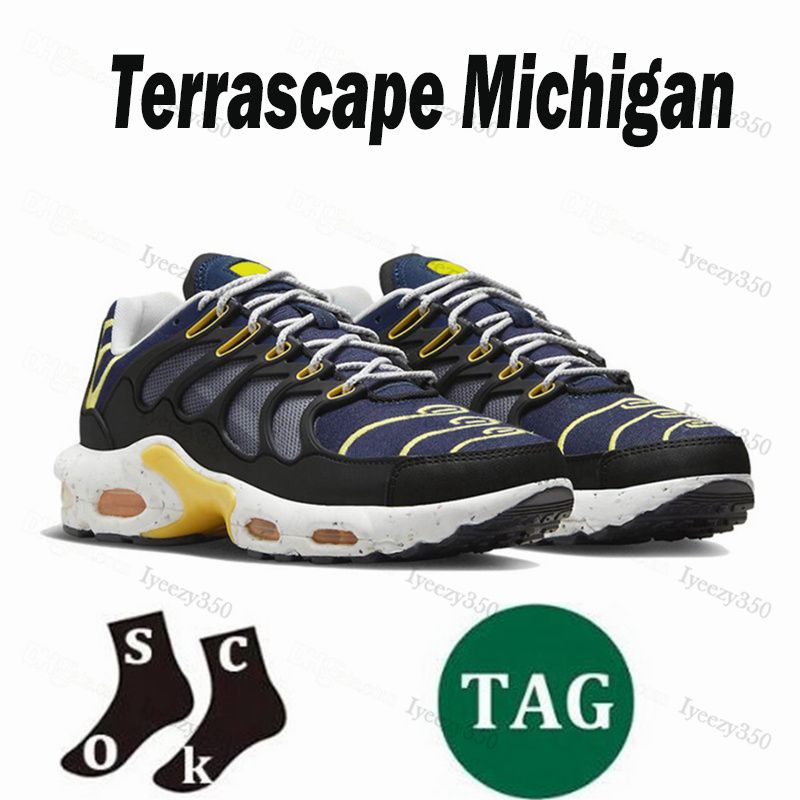 Terascape 40-46 (7)