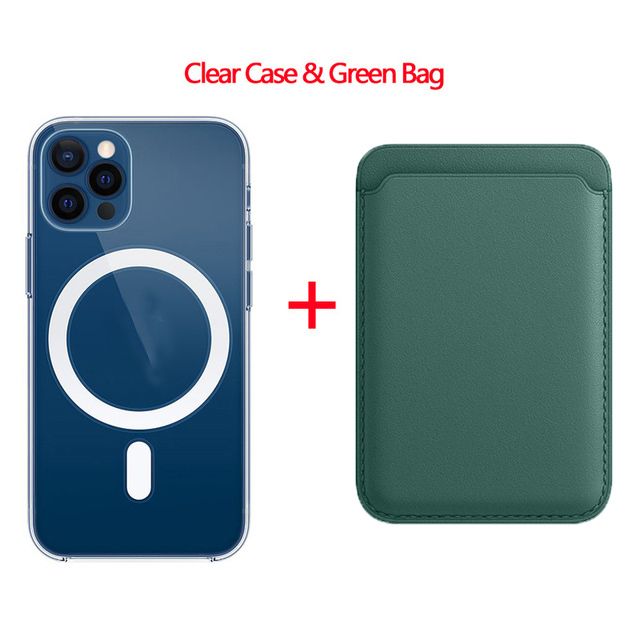 Clear Case & Green Bag