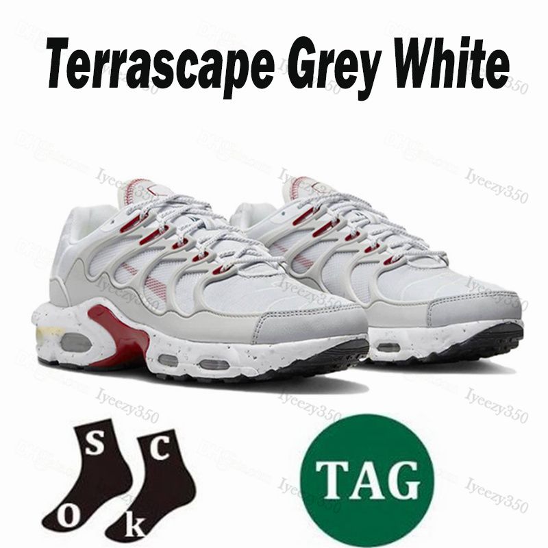 Terascape 40-46 (4)