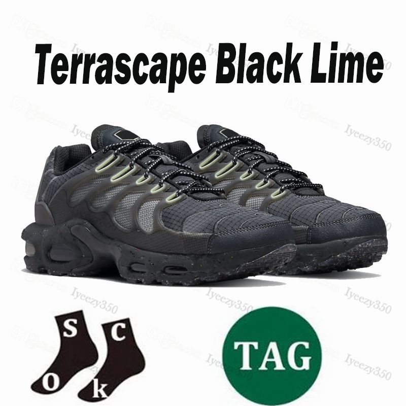 Terascape 40-46 (2)