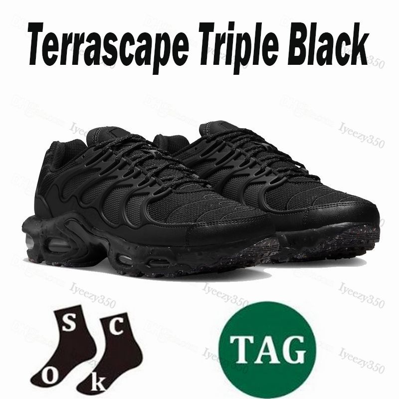 Terascape 36-46 (1)