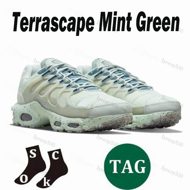 Terascape 36-46 (2)