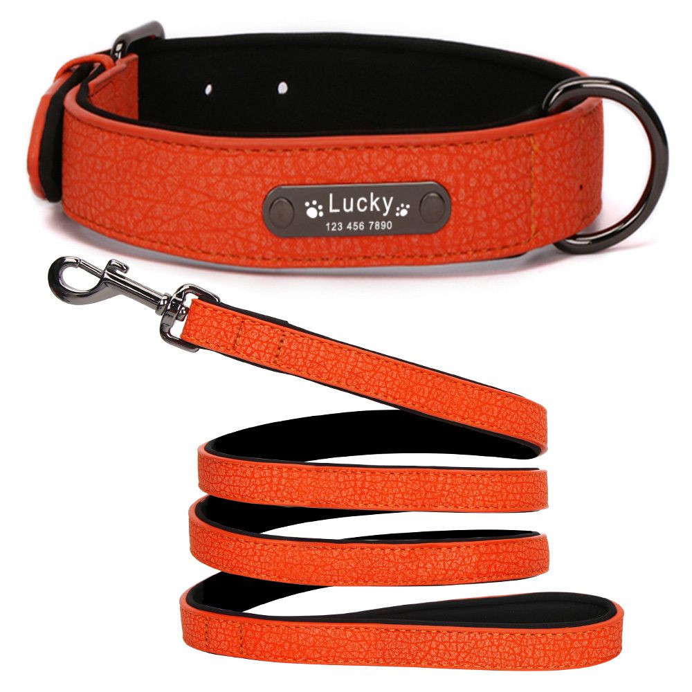 Orange Collar Leash