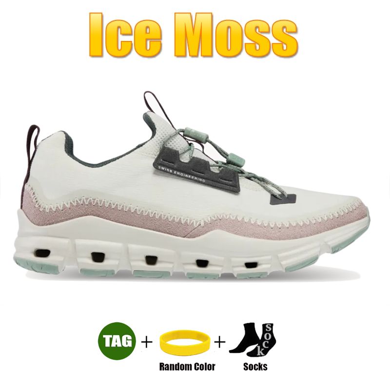 #21 Ice Moss