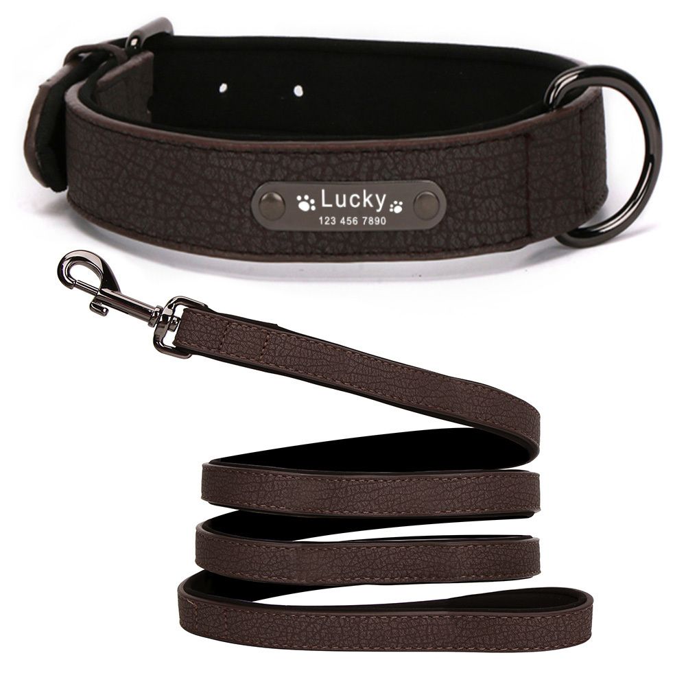 Black Collar Leash