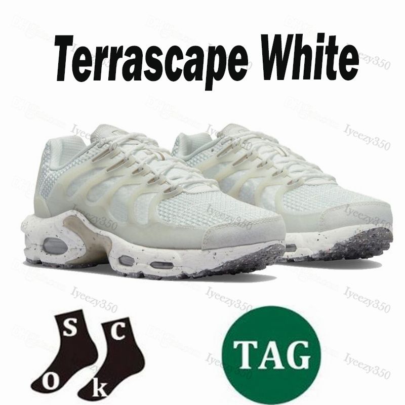 Terascape 40-46 (1)