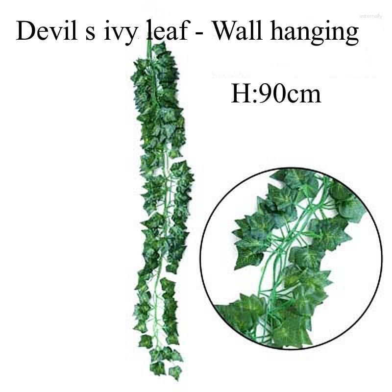 Devil s ivy leaves