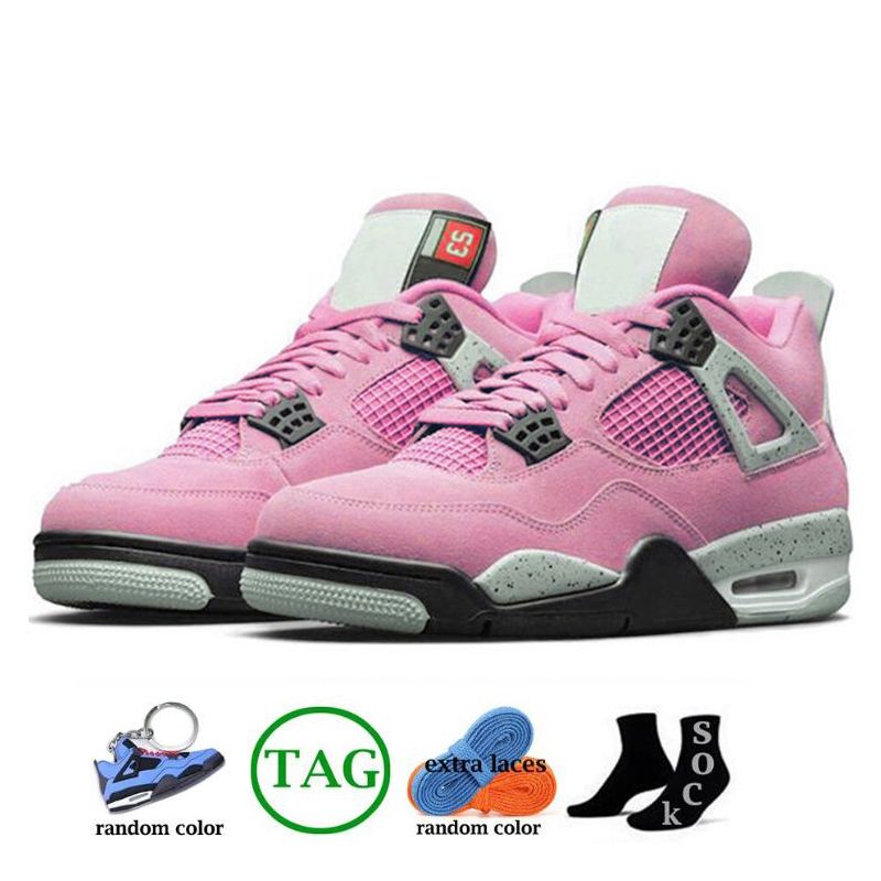 B42 University Pink 36-47